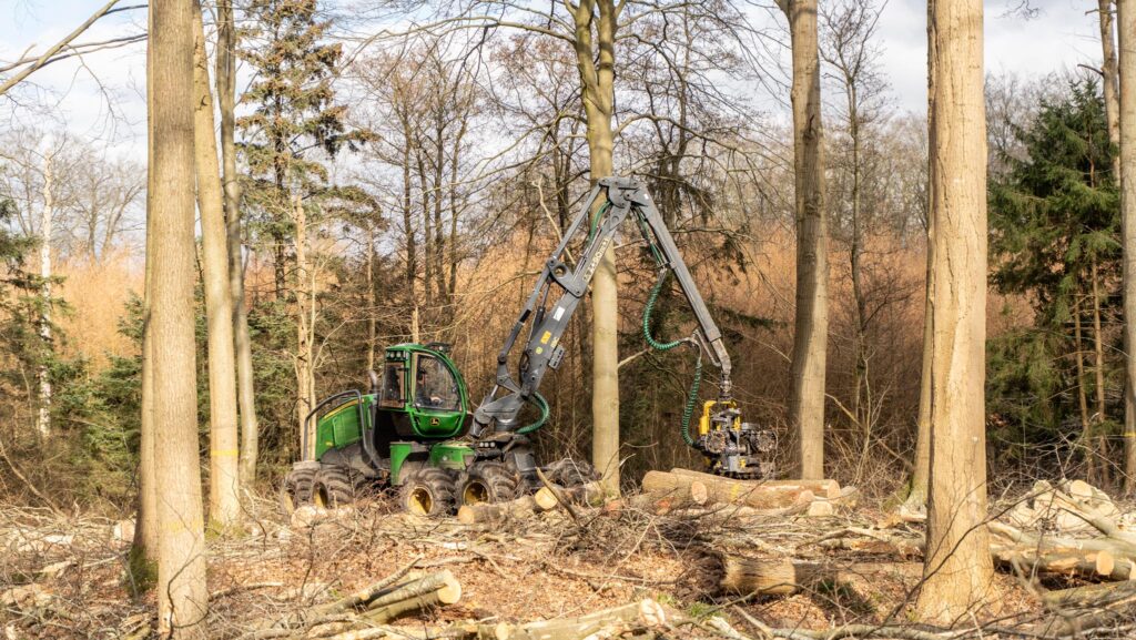 Voldsomt mange træer bliver fældet