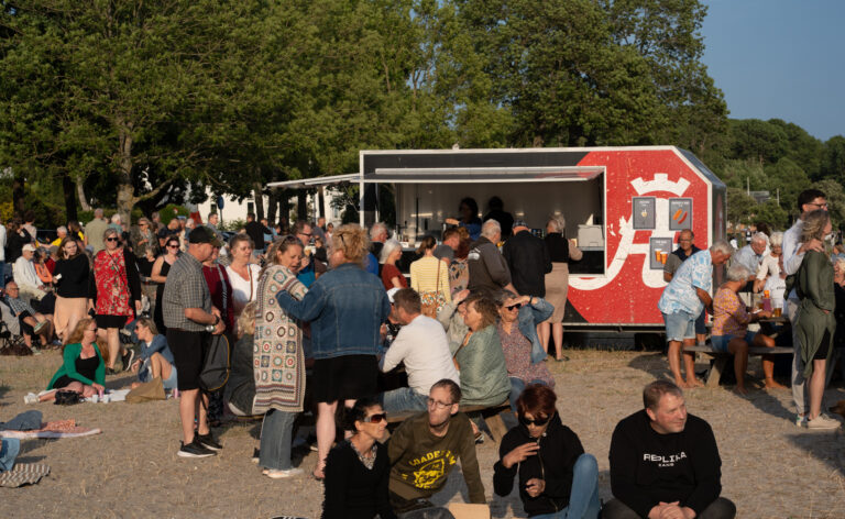 Strandens Ishus søger tilskud til sommerfest på Fluepapiret