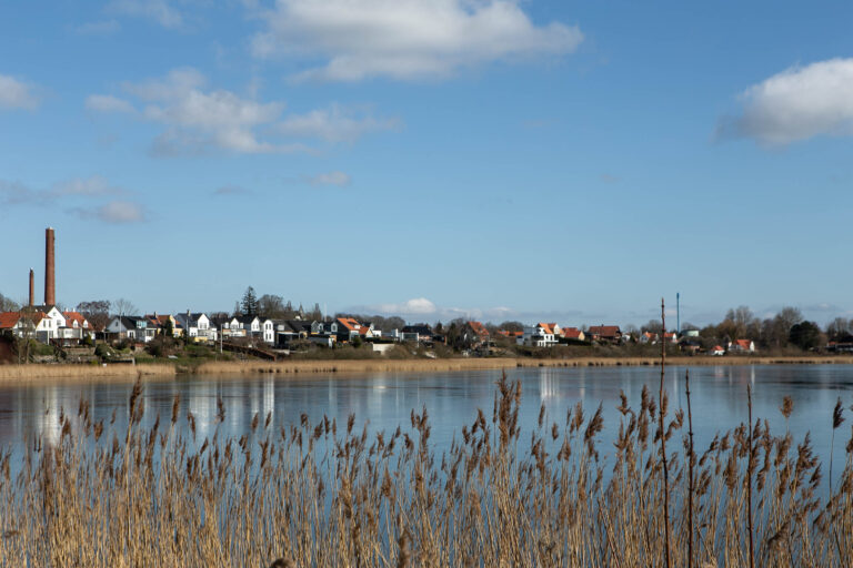 Nu uddannes der digitale elevambassadører