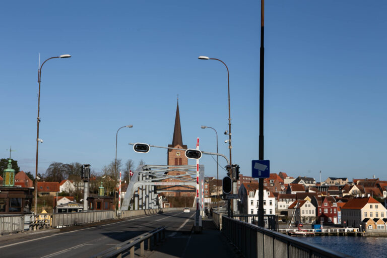 Arbejdsmarkedsudvalget får en status på ‘Arbejdspligten’