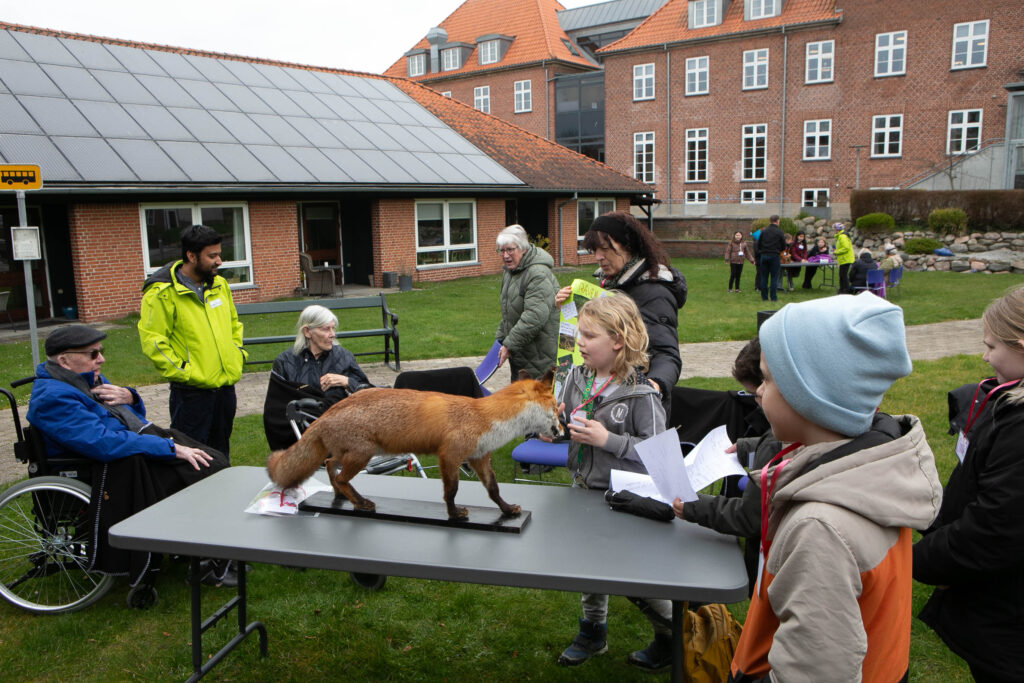 Skoleelever fortalte de ældre hvad de ved om dyr i naturen