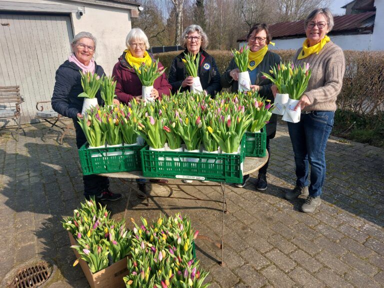 Lions Als er på vej ud med 627 tilipanbuketter