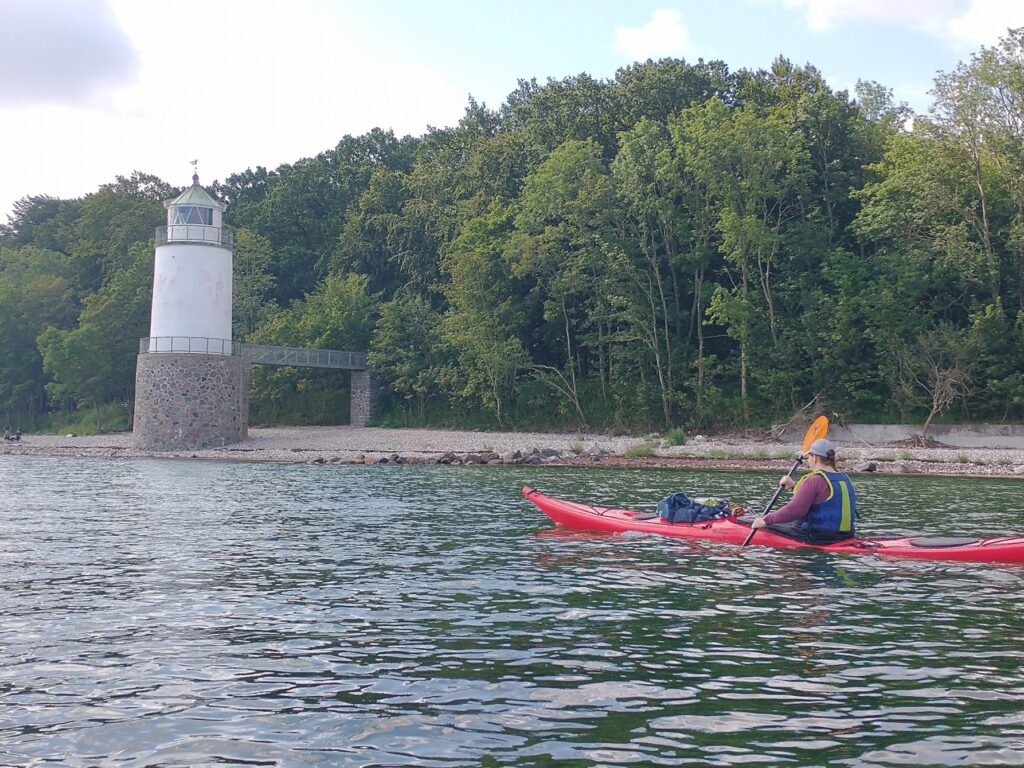Fra kluntet landkrabbe til elegant kajakroer
