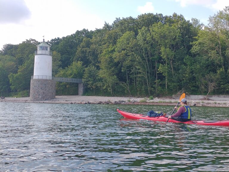 Fra kluntet landkrabbe til elegant kajakroer