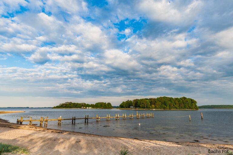 Debat: Muslingebåden ‘Thyra’ fortsætter med ødelægge havbunden