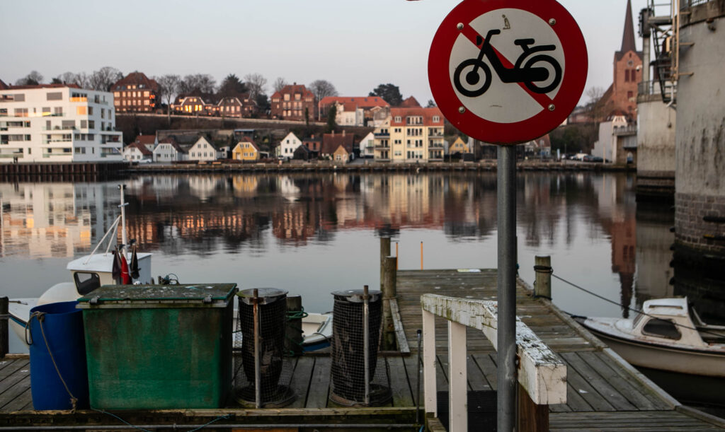 Knap halvdelen af de tyske indvandrere arbejder i en lokal virksomhed