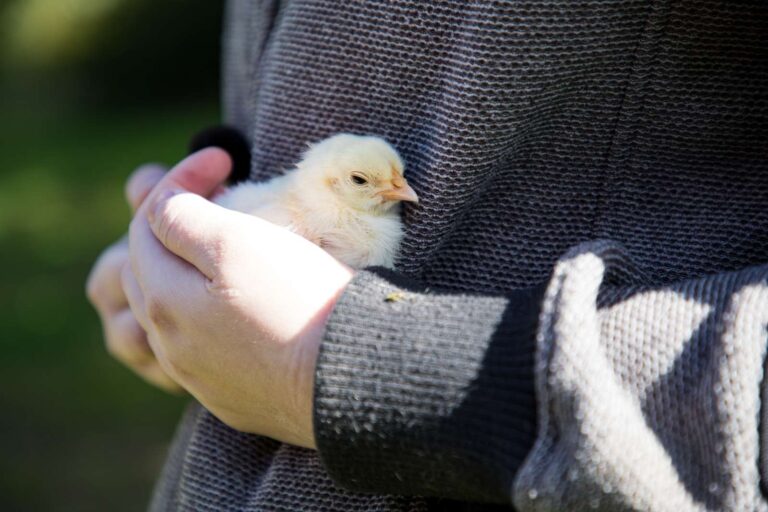 Kommunens nye socialpolitik er i høring