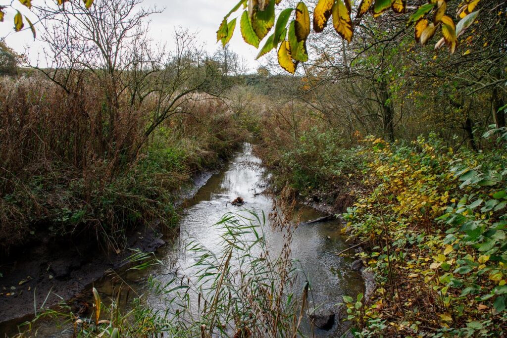 Spildevandsplan sendes i høring