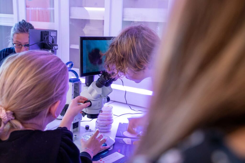 Nu tilbydes der juniormesterlære til skoleelever på 8. og 9. årgang