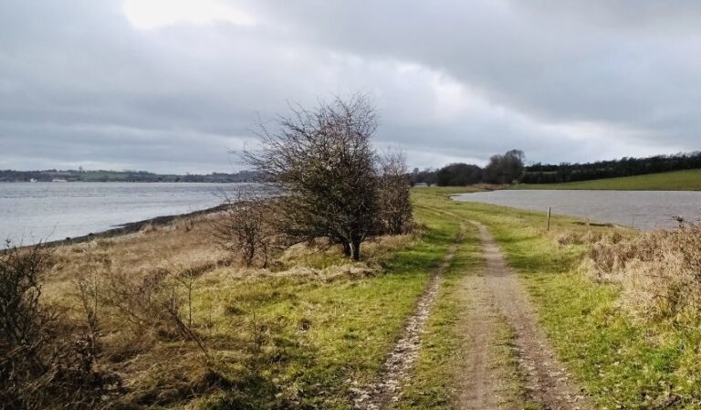 NaturStærk inviterer dig på tur den 1. maj