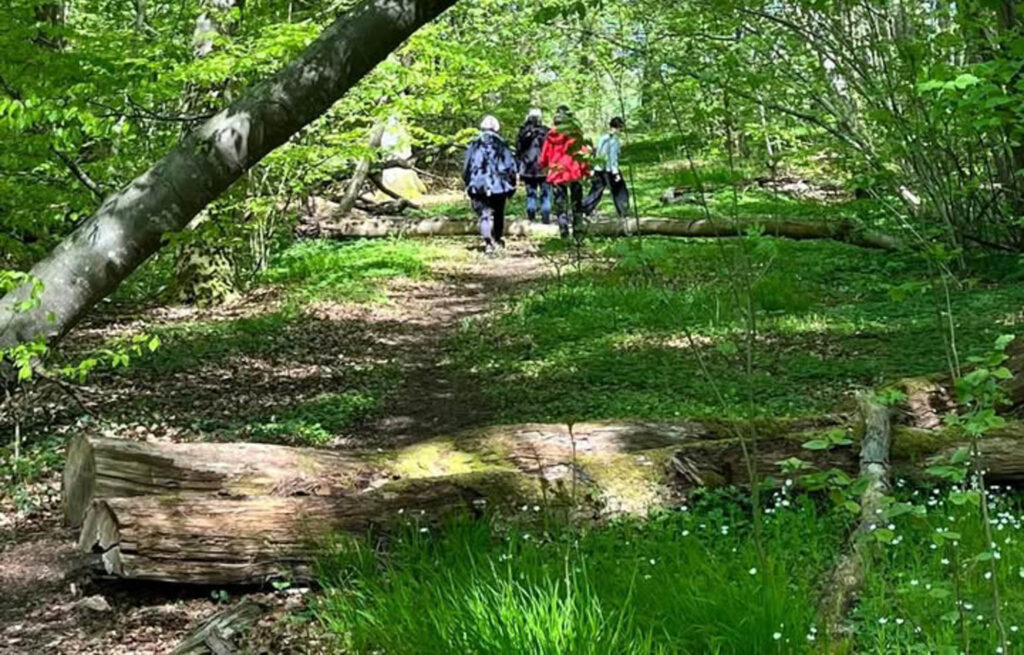 Kvinder inviteres til Kulturmøde i Naturen