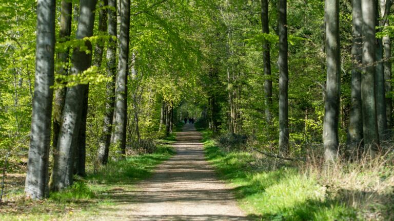 Grøn Trepart: Nye aftaler gavner natur, klima og vandmiljø