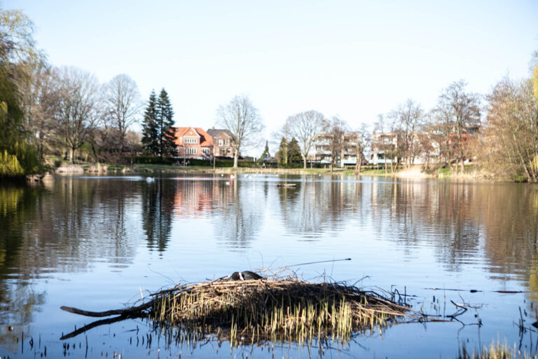 Ornitologisk forening for Als og Sundeved inviterer til rund fødselsdag