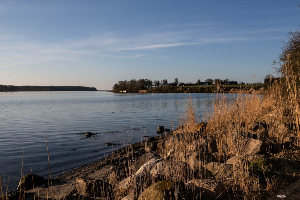 Forvaltningsdirektør bekræfter at nyt renseanlæg kræver nye målinger i Als Sund