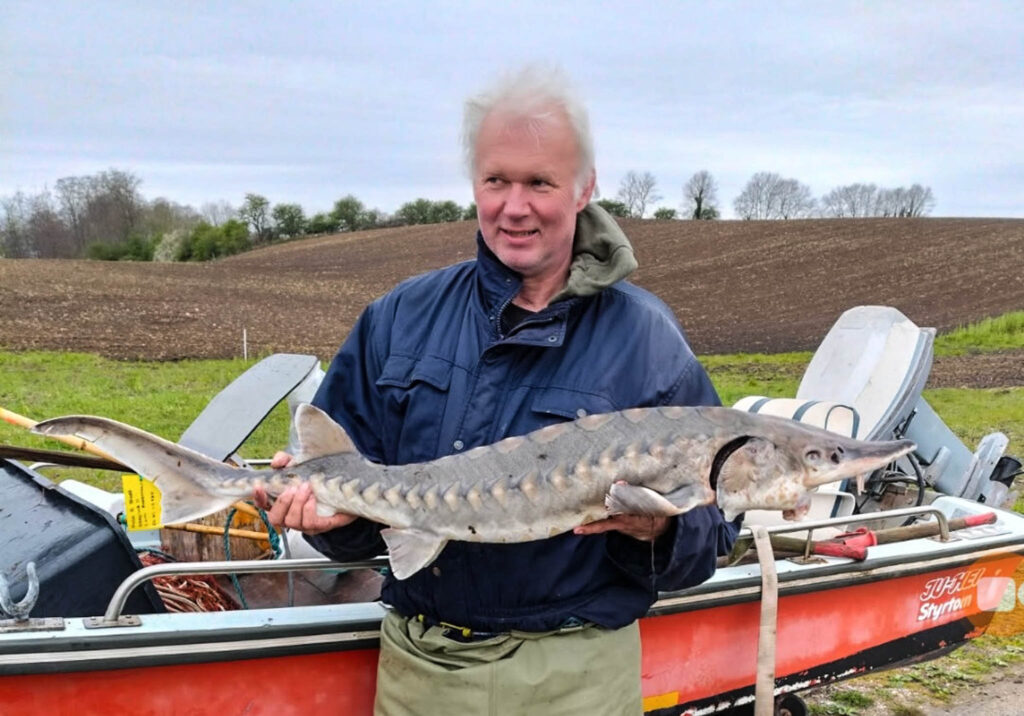 Lystfiskeri: Begynderheld – eller uheld?
