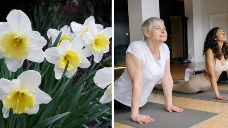 Du kan komme til påske-yoga i Nordborg Kirke