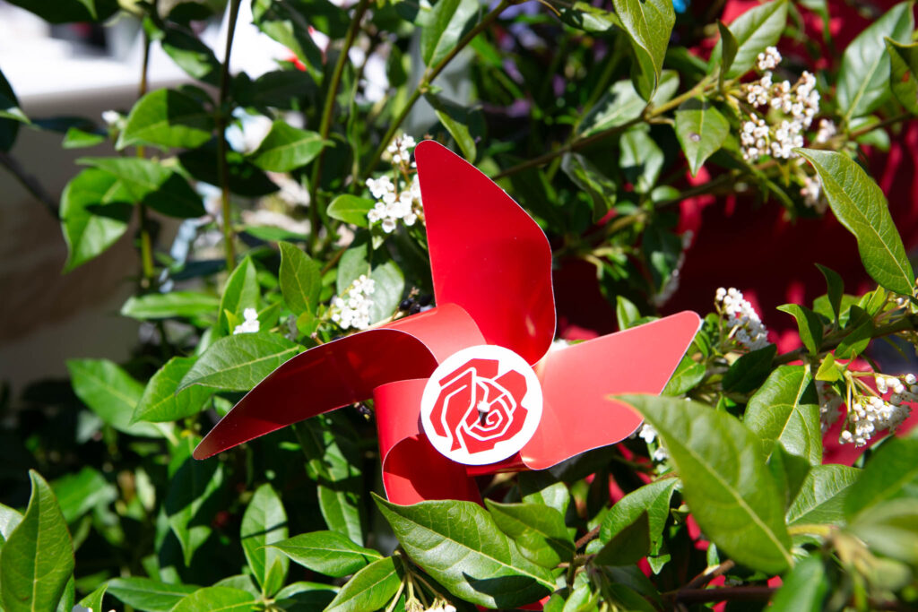 Socialdemokratiet fejrer Grundloven i Broagers bypark