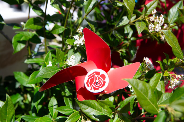 Socialdemokratiet kommer med et socialpolitisk udspil