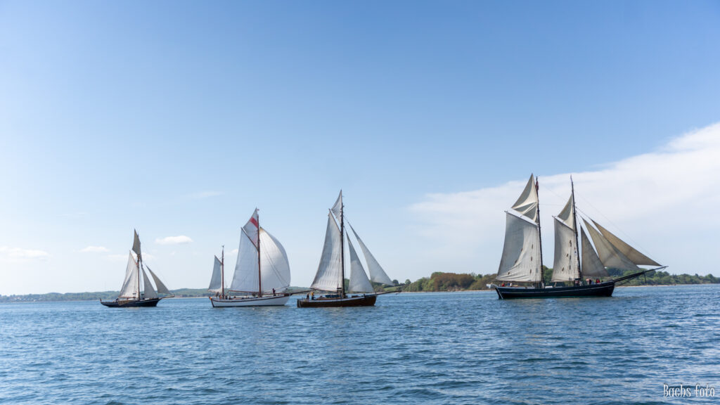 40 skonnerter – på vej til Romregatta – lægger til i Sønderborg
