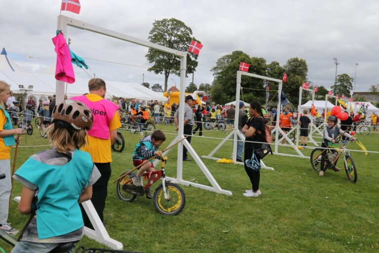 Børneland søger frivillige til årets sommerfest