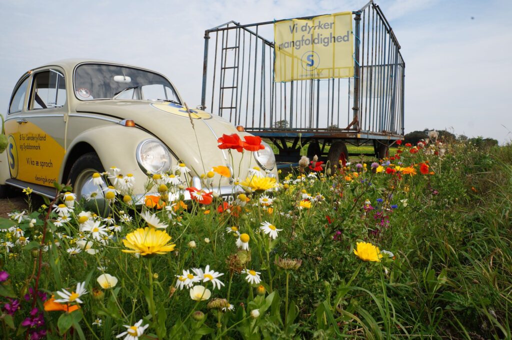 Læserindlæg: Bedre velfærd og service med klogt ressourcebrug