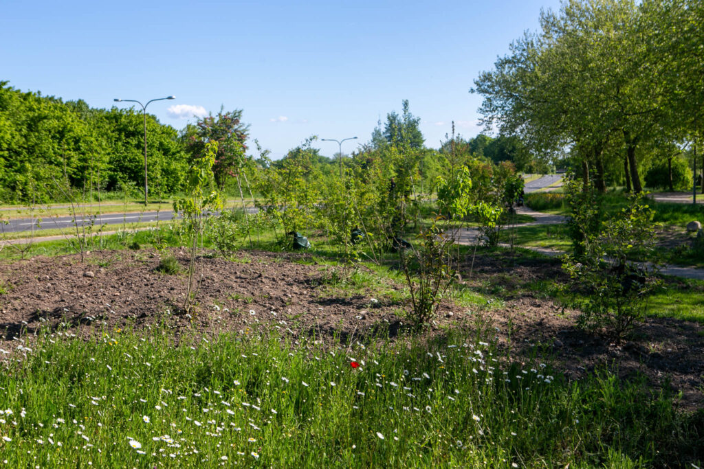 Politikerne så på Helhedplanen for Havnbjerg