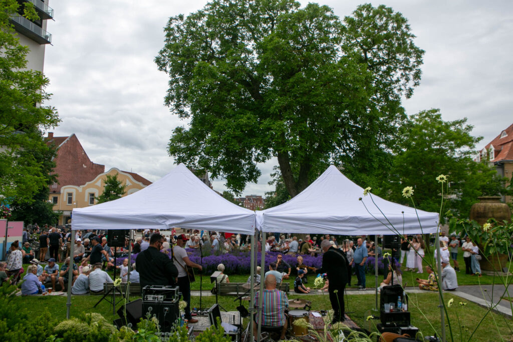 Kolde fadøl, ringridere og Southern Comforts i Apotekerhaven