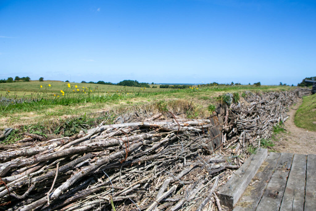 Det er 161 år siden Danmark tabte Slesvig, Holsten og Lauenburg