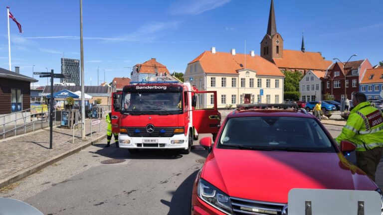Hund reddet op fra havnen