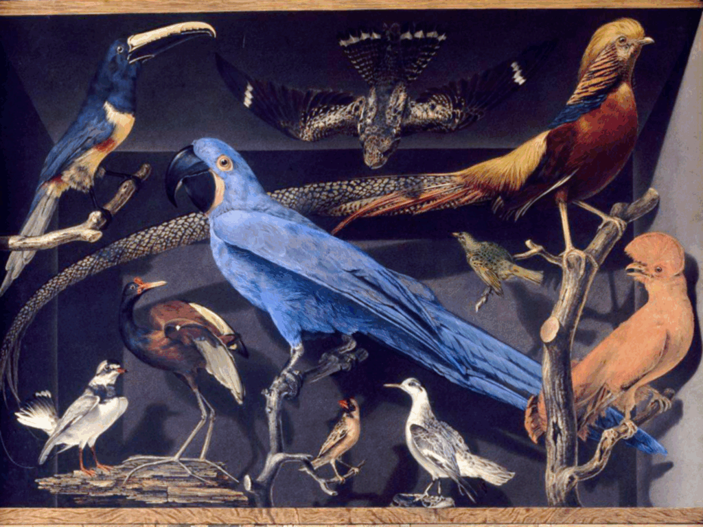 Biblioteket: Bliv en del af Det Hemmelige Selskab