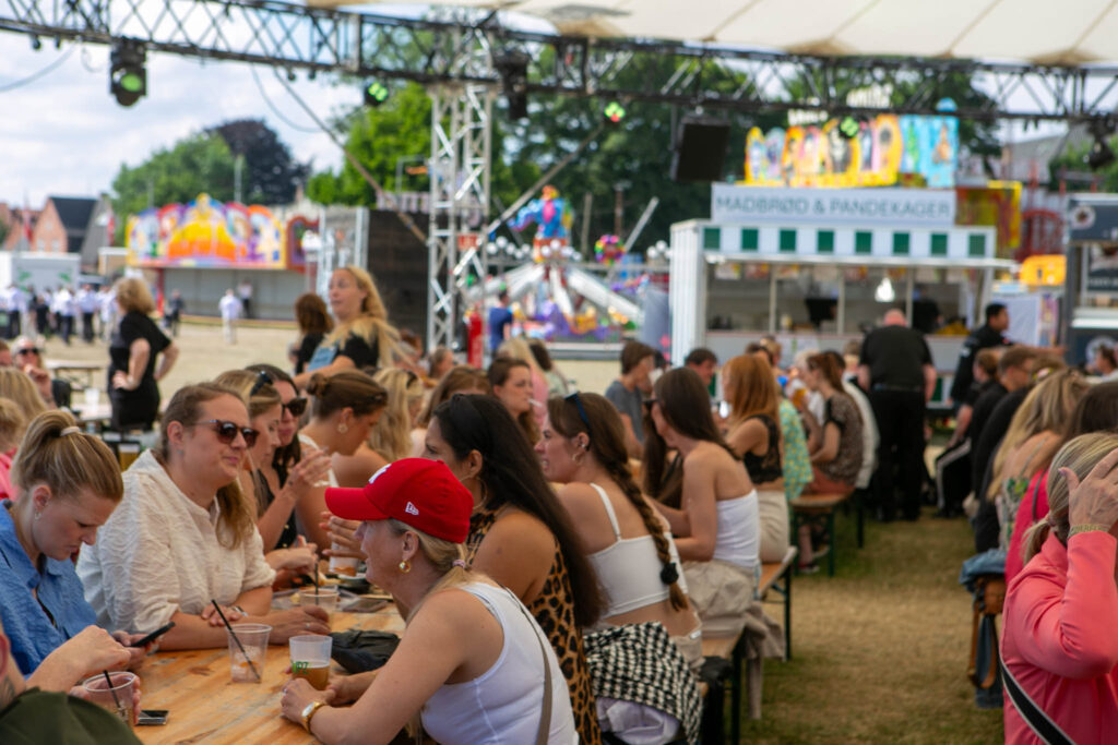 To drugging-sager mere fra Ringriderfesten