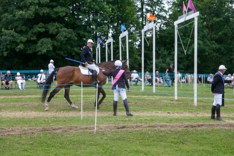 Se hvem der blev konge i Gråsten