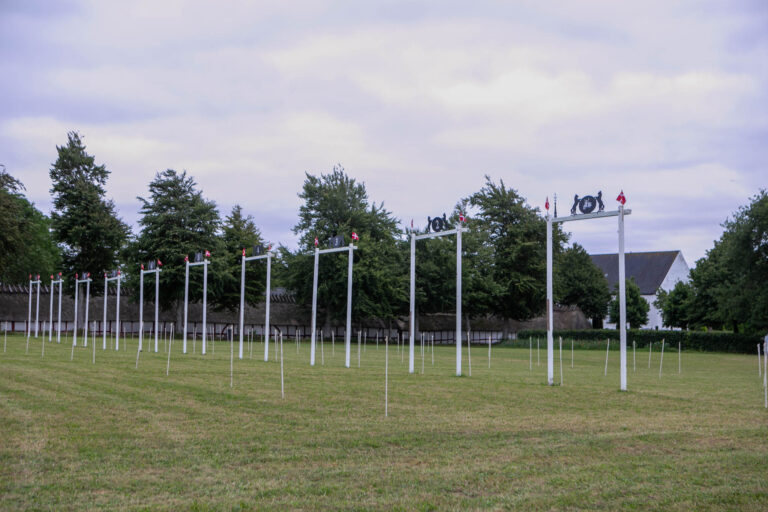 Hestenes dag hos Guderup Ringridning