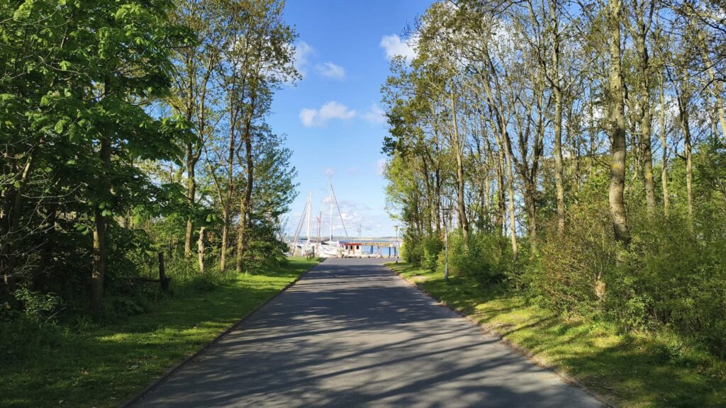 Dansk Vandrelaug markerer jubilæum på Als