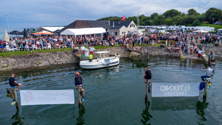 Den bedste Havnefest nogensinde