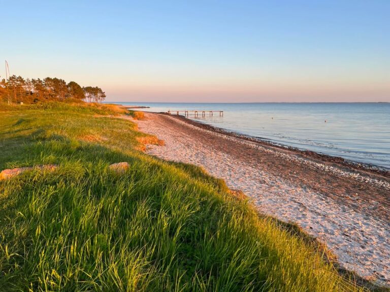 Vi går på bare fødder i sandet – skal du med?