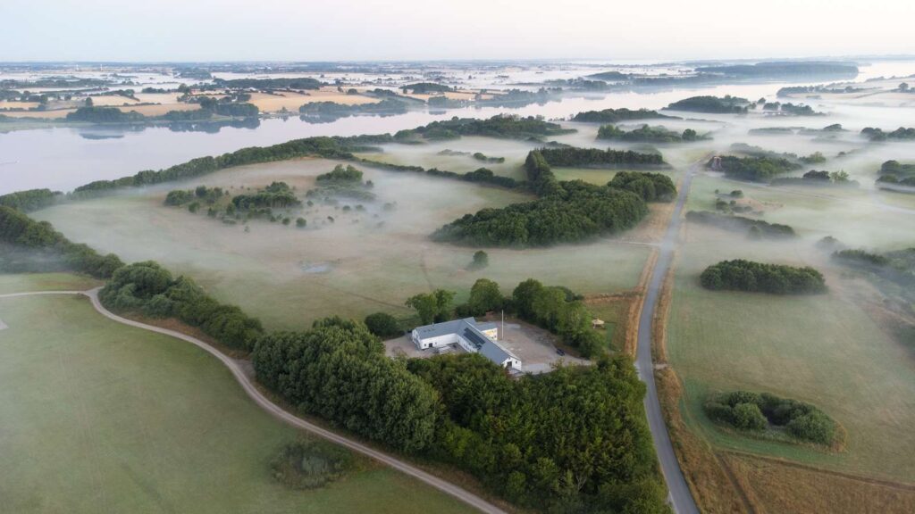 Weekendoplevelse: BioBlitz, havnatur og klokkefrøer på Kær Vestermark