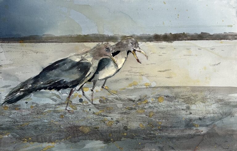 Asger Romme Andersen åbner udstillingen Giv os naturen tilbage