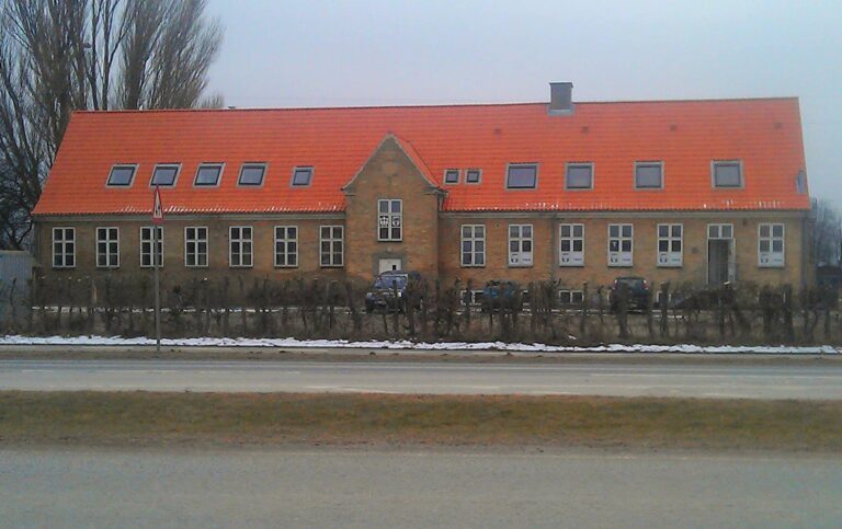 Kæmpe loppemarked ved Den Gamle Skole