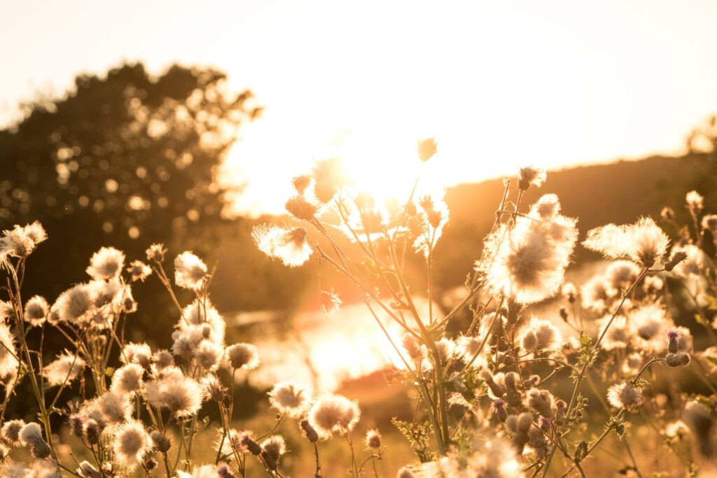 Børnenes tipi på Kær Vestermark vises frem for forældrene