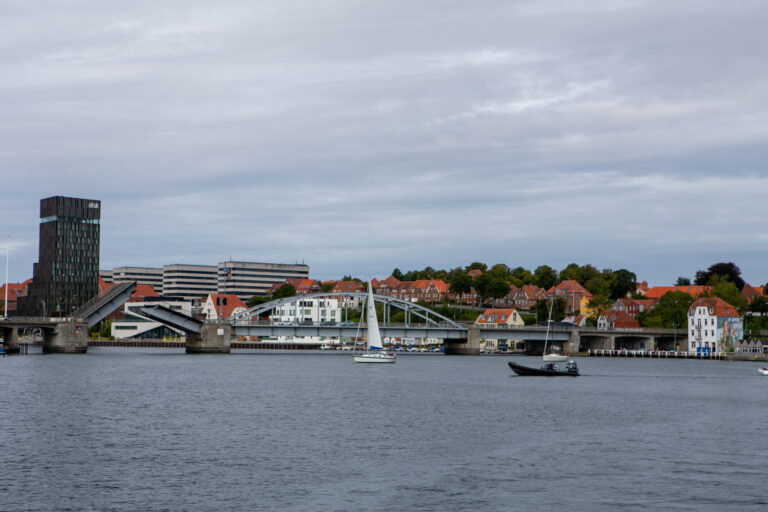 Borgerforslag: Forældre skal have adgang til deres børns sundhedsoplysninger