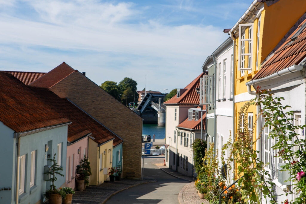 Danske Handicaporganisationer har omvendt vælgermøde