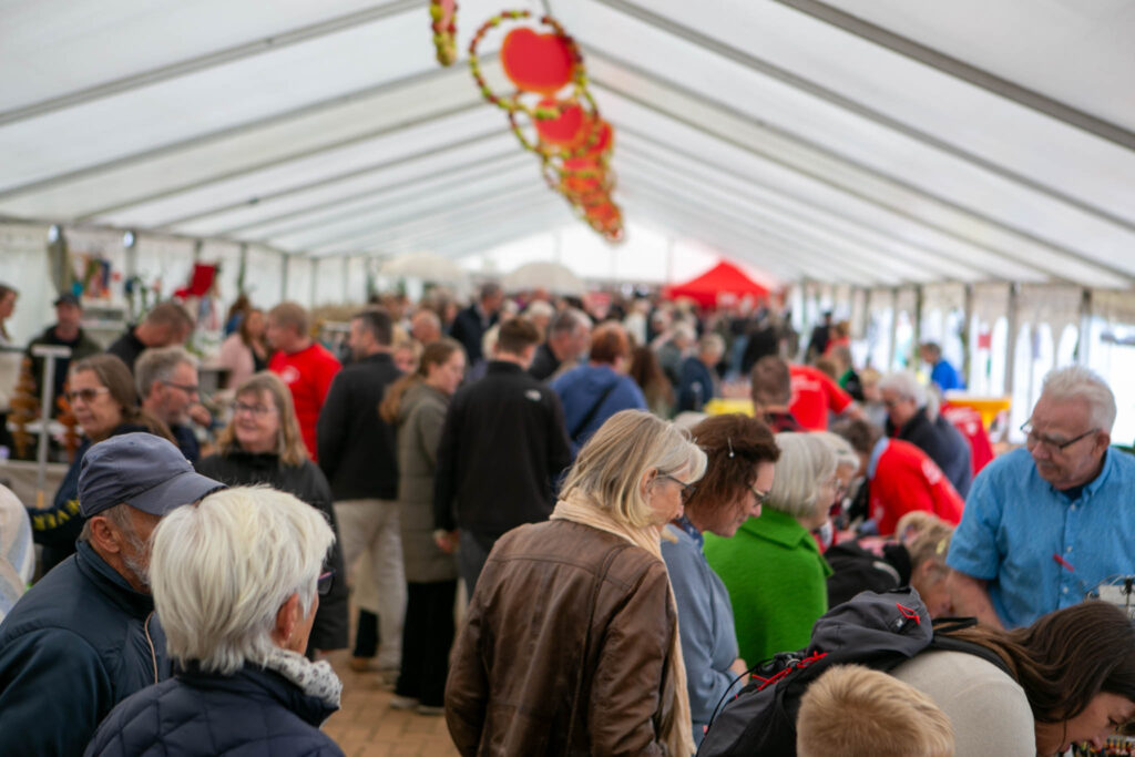 Søndag kan du opleve Gråsten Æblefestival