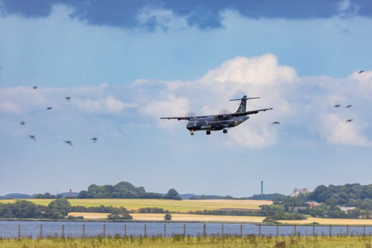 Droner omkring lufthavnen bekymrer borgmesteren