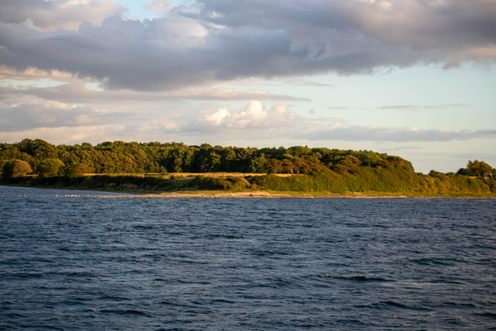 Konkurs – grøn genstart – ikke mens der stadig bundskrabes i vores fjorde