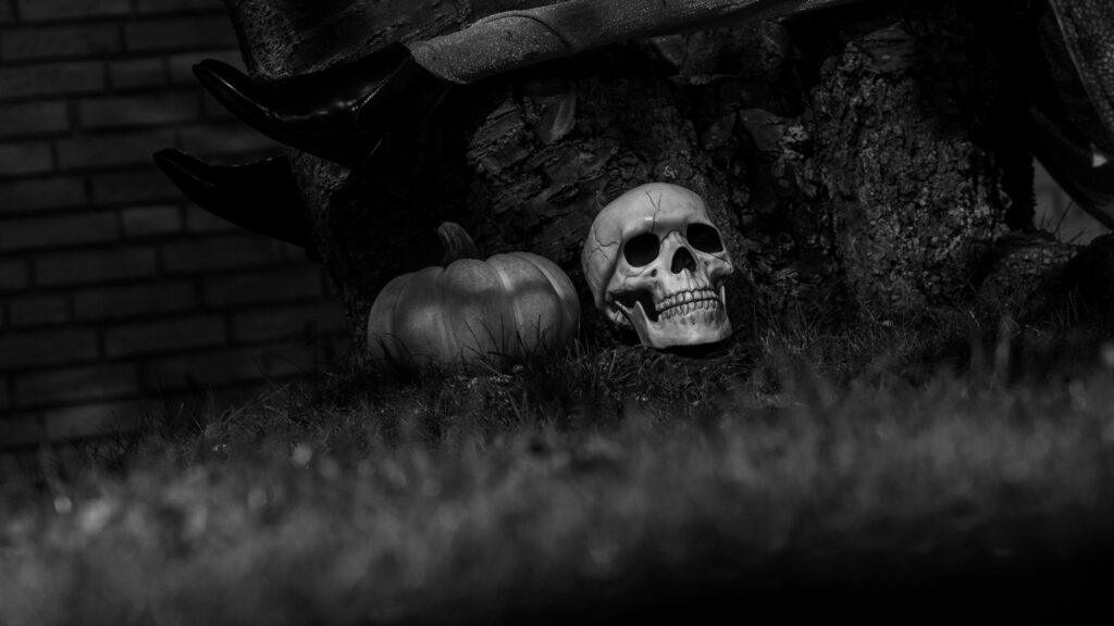 Uhyggelig, levende oplevelse venter hos PS Dance