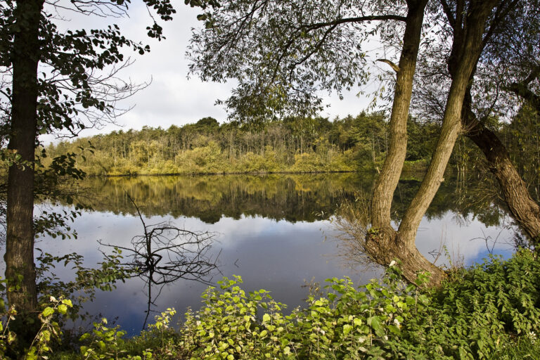 Kommunen sætter gang i historisk grøn omstilling af landbrugsjord