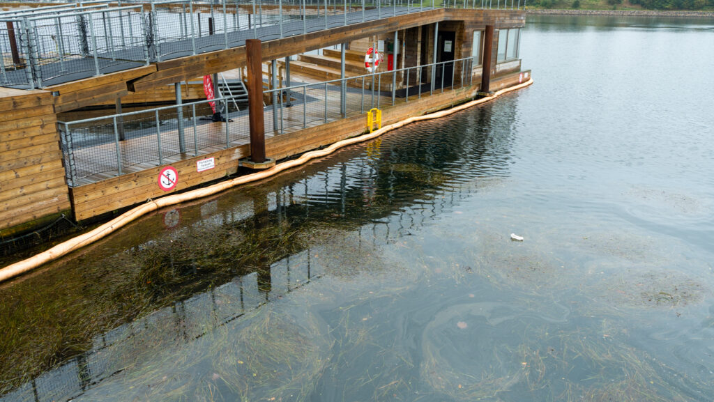 Vandet ved Havnebadet tjekkes for eventuel forurening