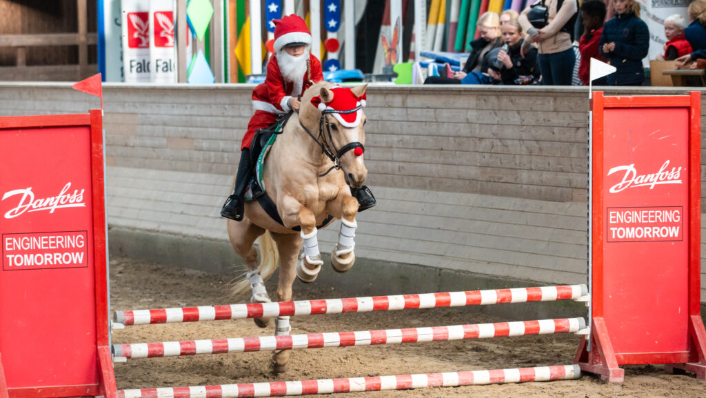 Bløde muler og flotte udklædninger ved hyggeligt ridestævne