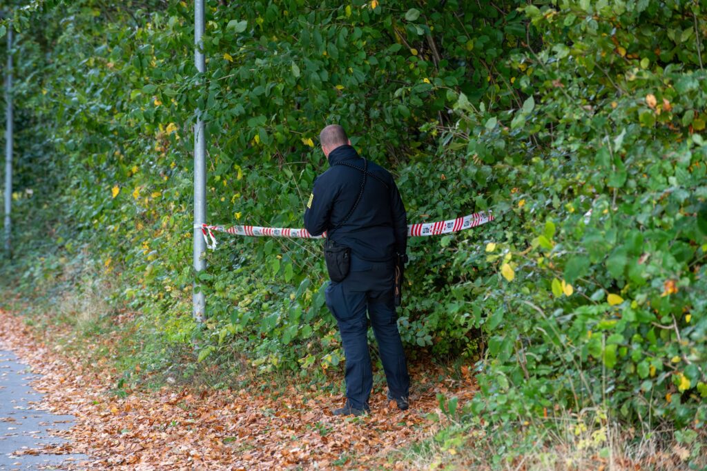 Ingen tegn på Claus ‘Hedde’ Dethlefsen blev udsat for en forbrydelse.